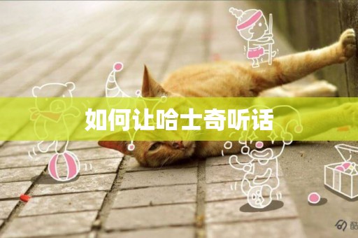 如何讓哈士奇聽話