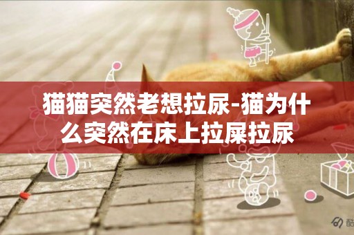 貓貓突然老想拉尿-貓為什么突然在床上拉屎拉尿