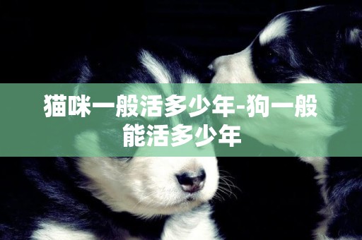 貓咪一般活多少年-狗一般能活多少年