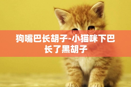 狗嘴巴長胡子-小貓咪下巴長了黑胡子