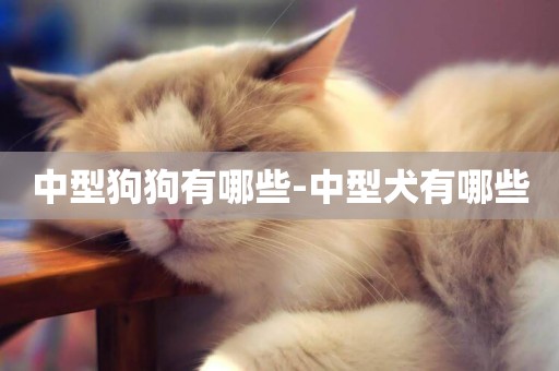 中型狗狗有哪些-中型犬有哪些