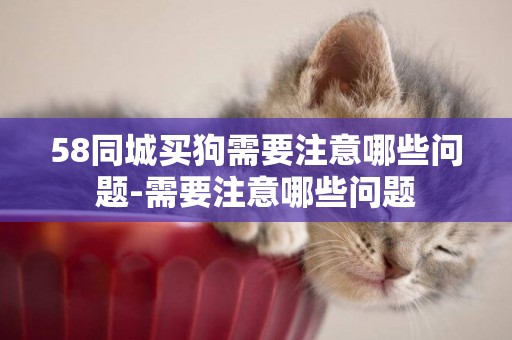 58同城買狗需要注意哪些問題-需要注意哪些問題