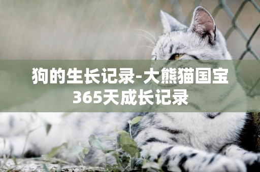 狗的生長記錄-大熊貓國寶365天成長記錄