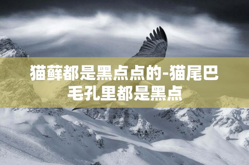 貓蘚都是黑點點的-貓尾巴毛孔里都是黑點