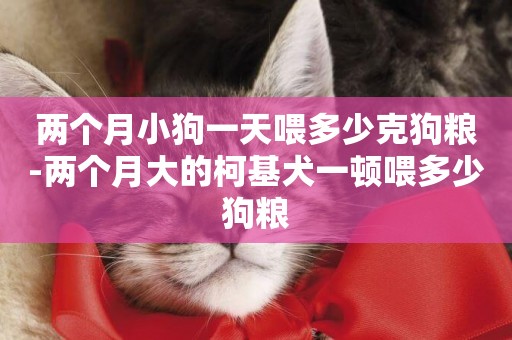兩個月小狗一天喂多少克狗糧-兩個月大的柯基犬一頓喂多少狗糧