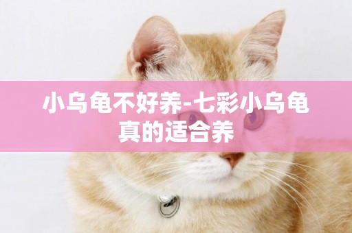 小烏龜不好養-七彩小烏龜真的適合養