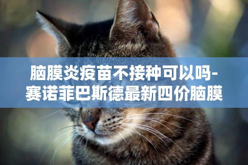腦膜炎疫苗不接種可以嗎-賽諾菲巴斯德最新四價腦膜炎球菌結合疫苗在美獲批