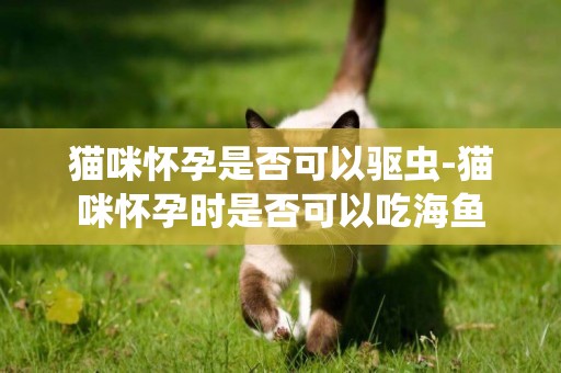 貓咪懷孕是否可以驅蟲-貓咪懷孕時是否可以吃海魚
