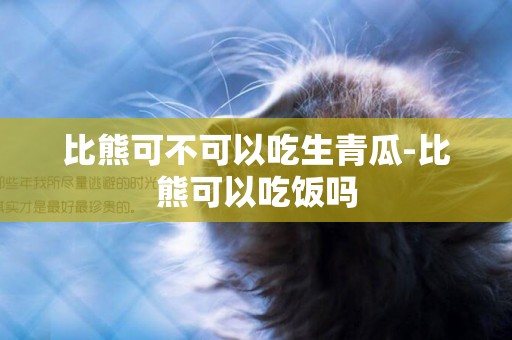 比熊可不可以吃生青瓜-比熊可以吃飯嗎