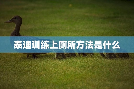 泰迪訓練上廁所方法是什么