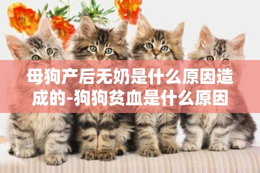 母狗產后無奶是什么原因造成的-狗狗貧血是什么原因造成的