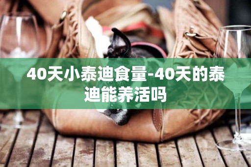 40天小泰迪食量-40天的泰迪能養活嗎