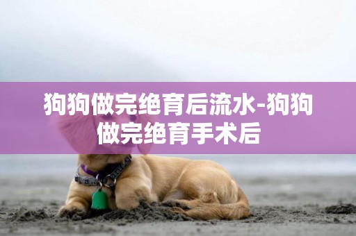 狗狗做完絕育后流水-狗狗做完絕育手術后