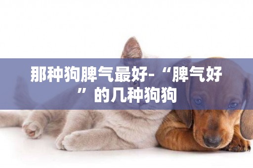 那種狗脾氣最好-“脾氣好”的幾種狗狗