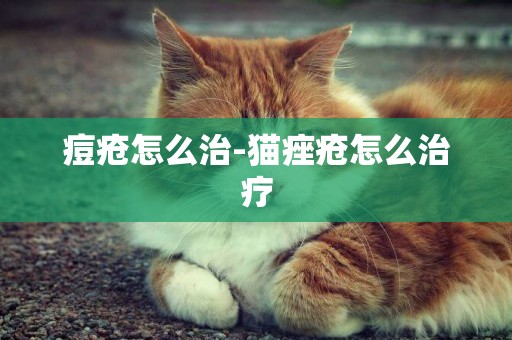 痘瘡怎么治-貓痤瘡怎么治療