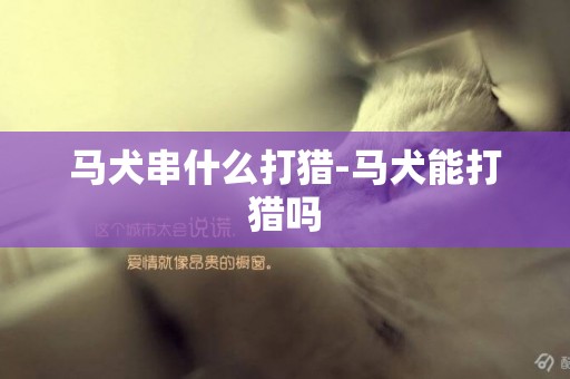 馬犬串什么打獵-馬犬能打獵嗎
