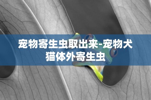 寵物寄生蟲取出來-寵物犬貓體外寄生蟲