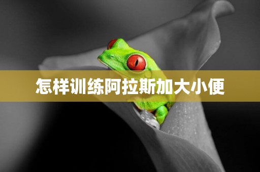 怎樣訓練阿拉斯加大小便