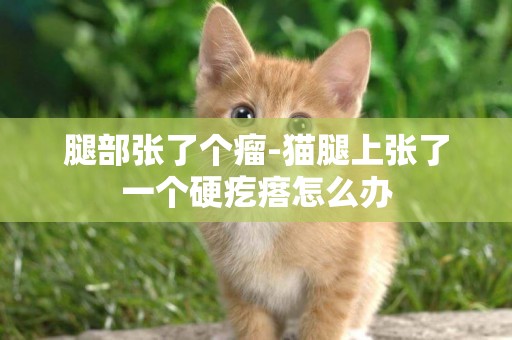腿部張了個瘤-貓腿上張了一個硬疙瘩怎么辦