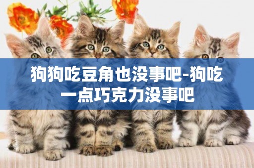 狗狗吃豆角也沒事吧-狗吃一點巧克力沒事吧