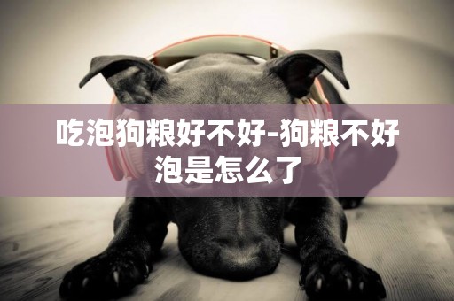 吃泡狗糧好不好-狗糧不好泡是怎么了