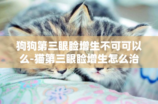 狗狗第三眼瞼增生不可可以么-貓第三眼瞼增生怎么治