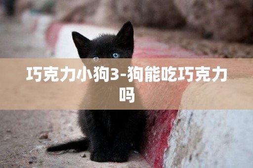 巧克力小狗3-狗能吃巧克力嗎