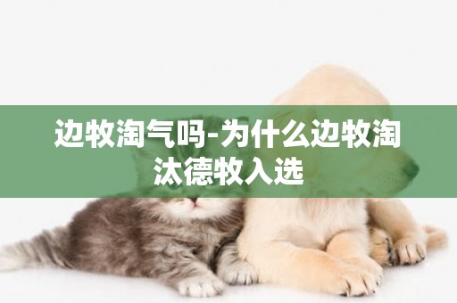 邊牧淘氣嗎-為什么邊牧淘汰德牧入選