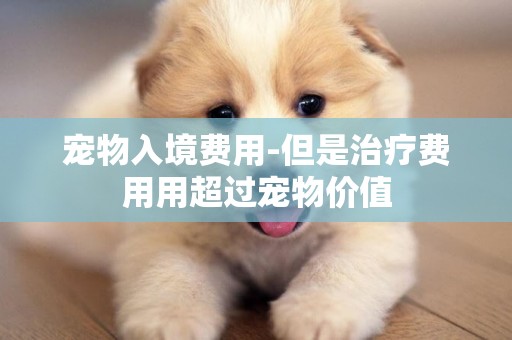 寵物入境費用-但是治療費用用超過寵物價值
