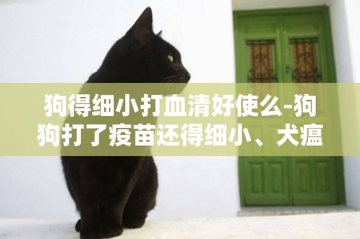 狗得細小打血清好使么-狗狗打了疫苗還得細小、犬瘟