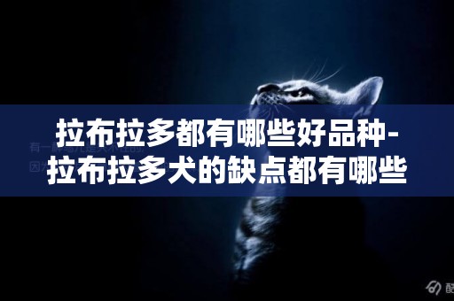 拉布拉多都有哪些好品種-拉布拉多犬的缺點都有哪些呢