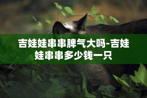 吉娃娃串串脾氣大嗎-吉娃娃串串多少錢一只