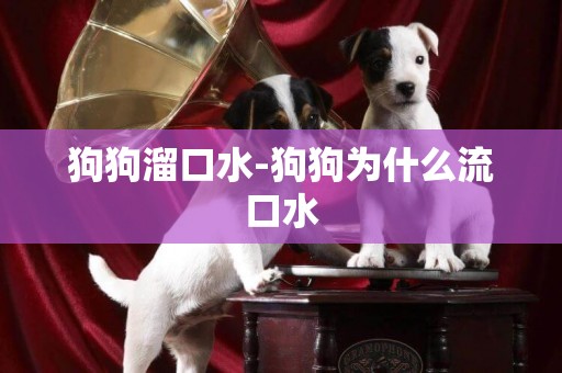 狗狗溜口水-狗狗為什么流口水