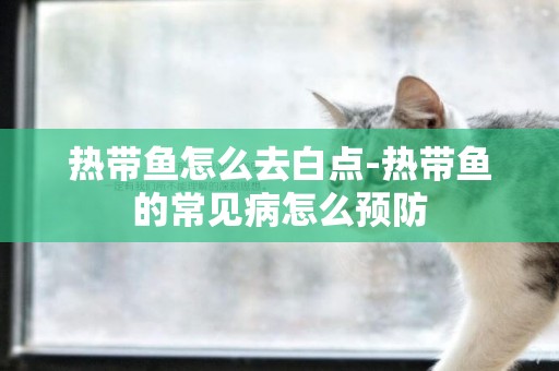 熱帶魚怎么去白點-熱帶魚的常見病怎么預防