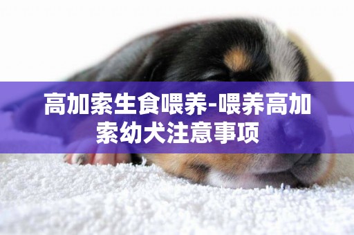 高加索生食喂養-喂養高加索幼犬注意事項