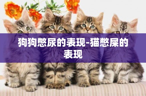 狗狗憋尿的表現-貓憋屎的表現