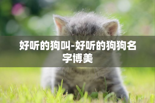 好聽的狗叫-好聽的狗狗名字博美