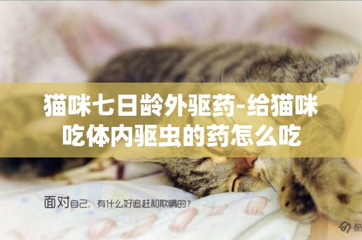 貓咪七日齡外驅藥-給貓咪吃體內驅蟲的藥怎么吃