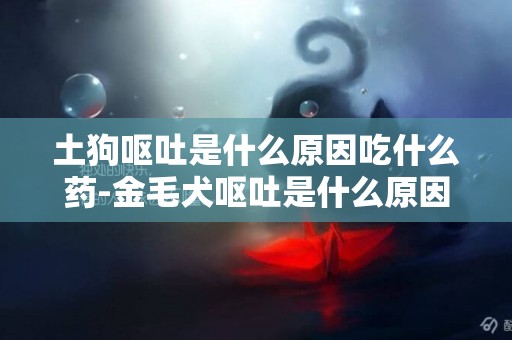 土狗嘔吐是什么原因吃什么藥-金毛犬嘔吐是什么原因及吃什么藥