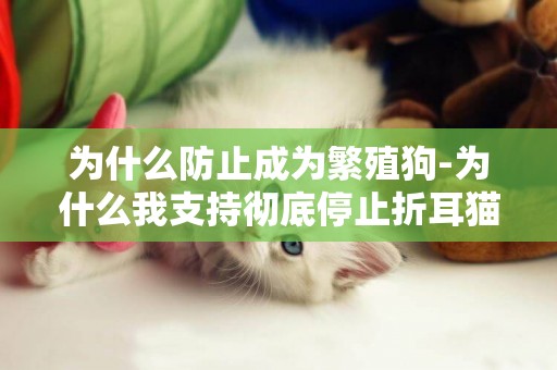 為什么防止成為繁殖狗-為什么我支持徹底停止折耳貓的繁殖