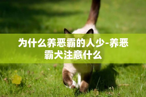 為什么養惡霸的人少-養惡霸犬注意什么