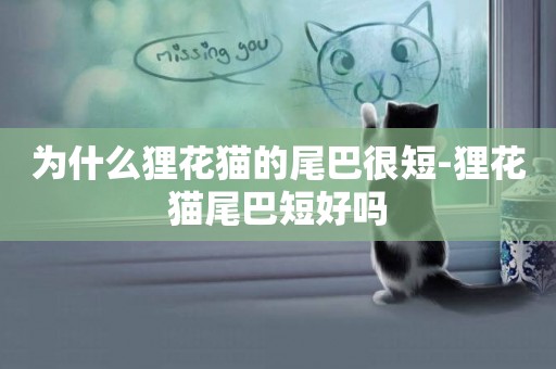 為什么貍花貓的尾巴很短-貍花貓尾巴短好嗎
