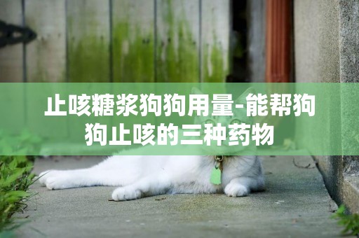 止咳糖漿狗狗用量-能幫狗狗止咳的三種藥物