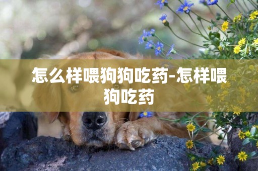 怎么樣喂狗狗吃藥-怎樣喂狗吃藥