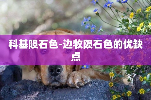 科基隕石色-邊牧隕石色的優缺點