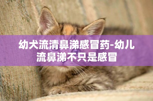 幼犬流清鼻涕感冒藥-幼兒流鼻涕不只是感冒