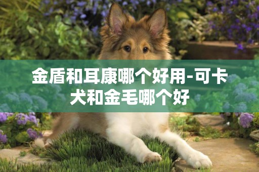 金盾和耳康哪個好用-可卡犬和金毛哪個好