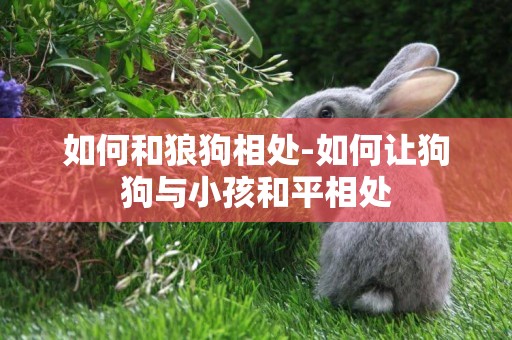 如何和狼狗相處-如何讓狗狗與小孩和平相處