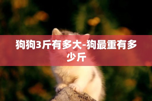狗狗3斤有多大-狗最重有多少斤