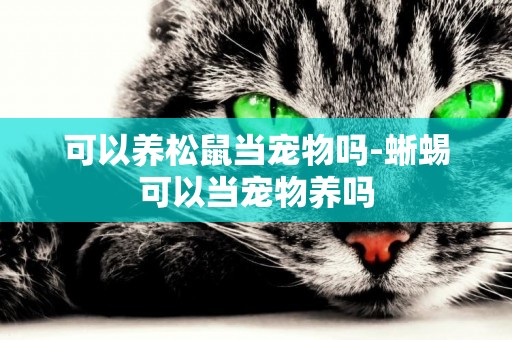 可以養松鼠當寵物嗎-蜥蜴可以當寵物養嗎